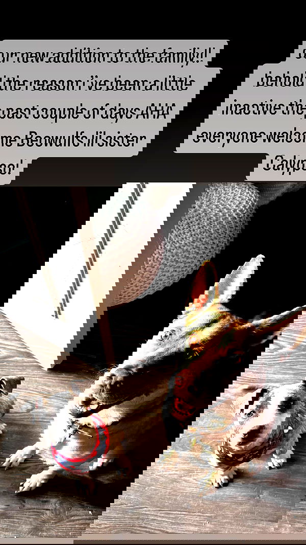 iamm3dusa image ~ Altpins