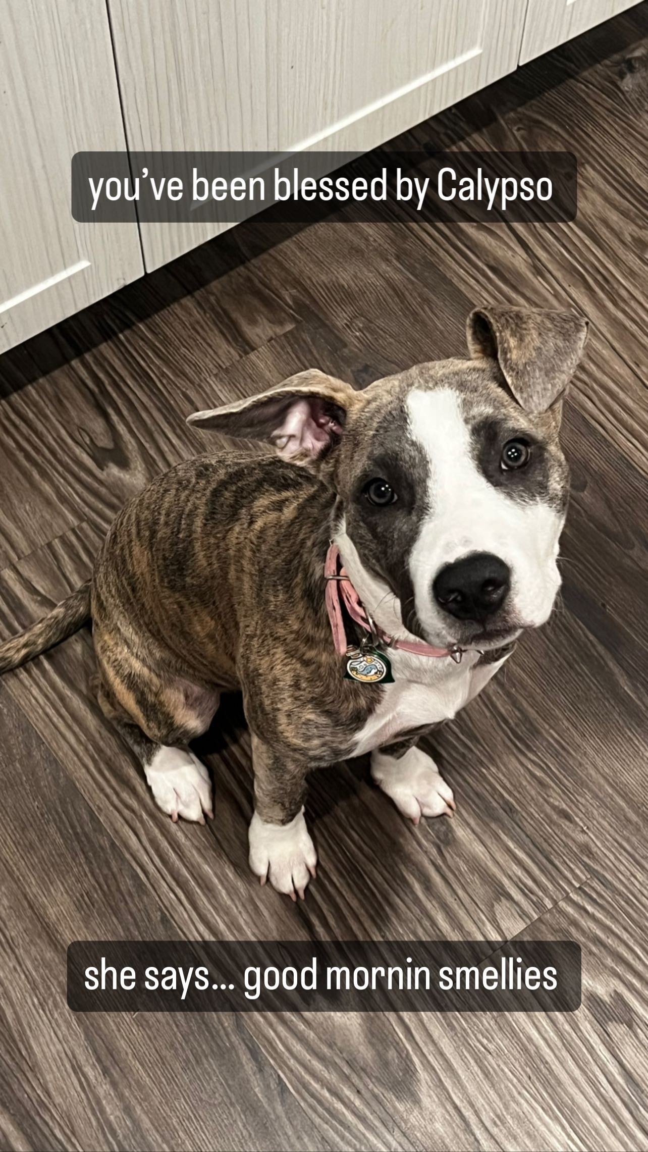 iamm3dusa instagram image archive image