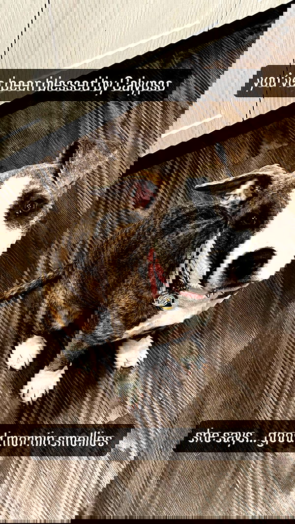 iamm3dusa image ~ Altpins