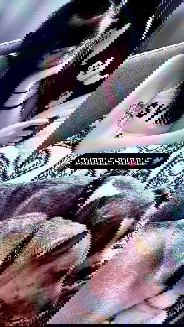 iamm3dusa image ~ Altpins