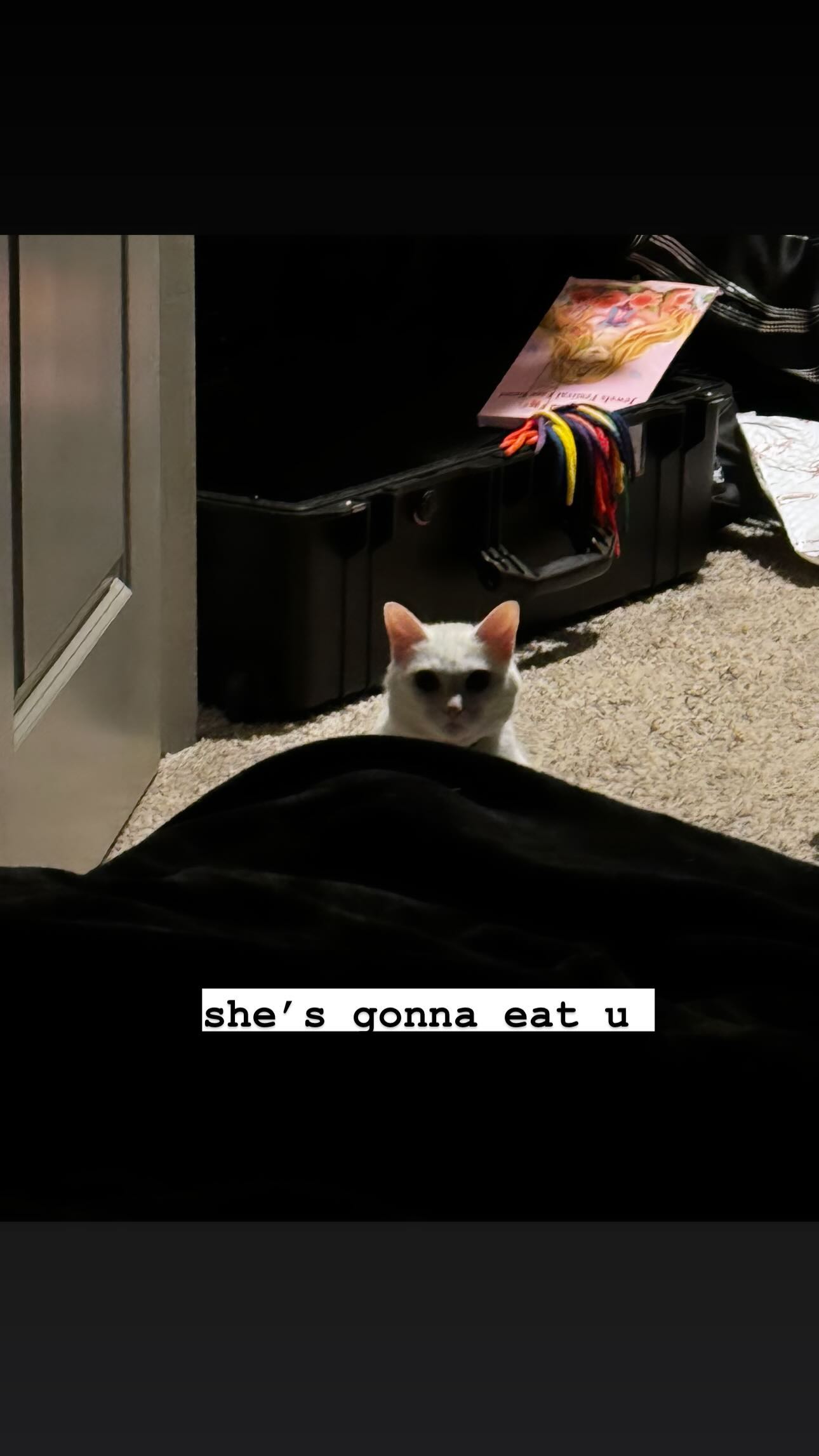 iamm3dusa instagram image archive image