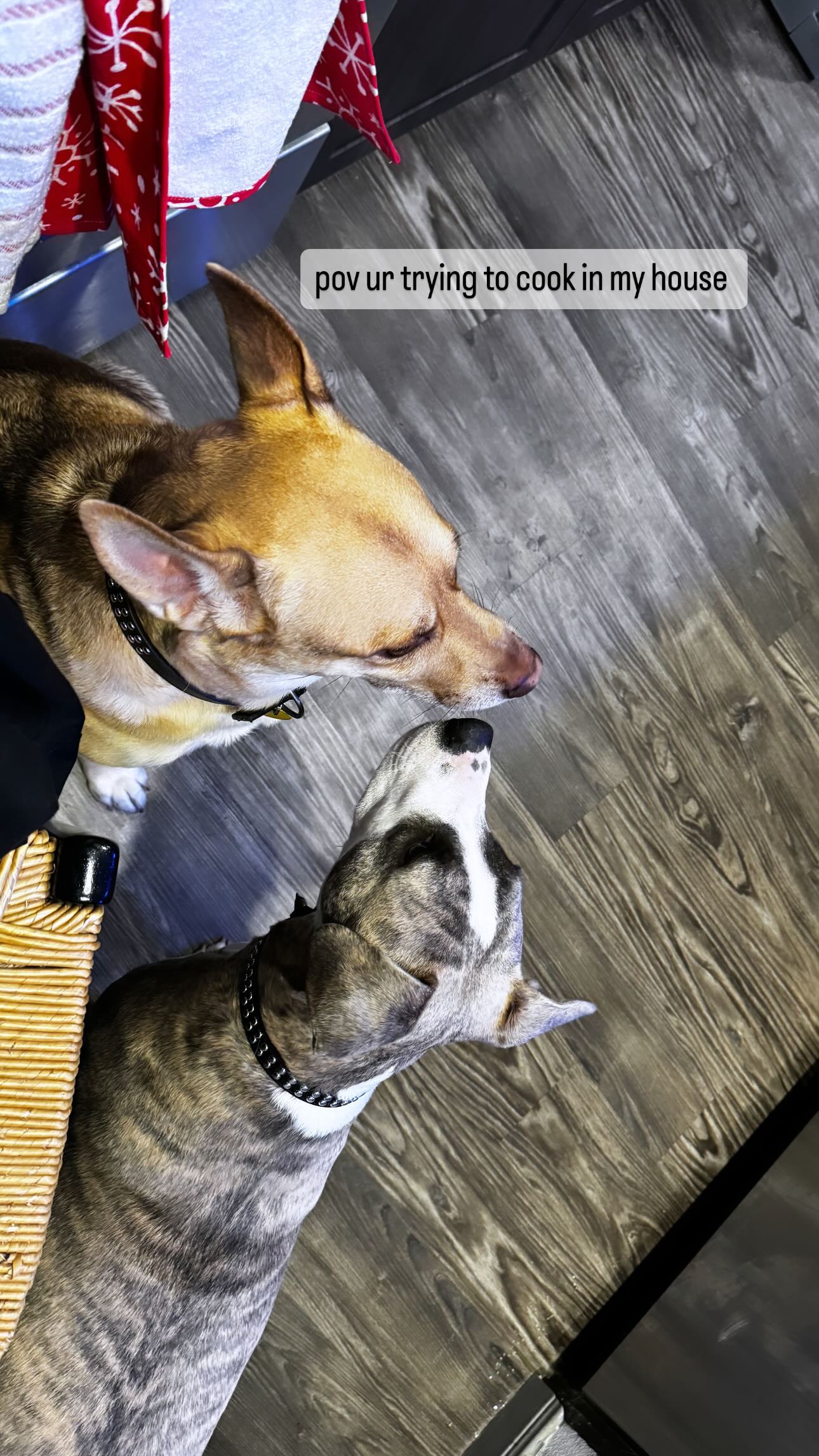 iamm3dusa instagram image archive image