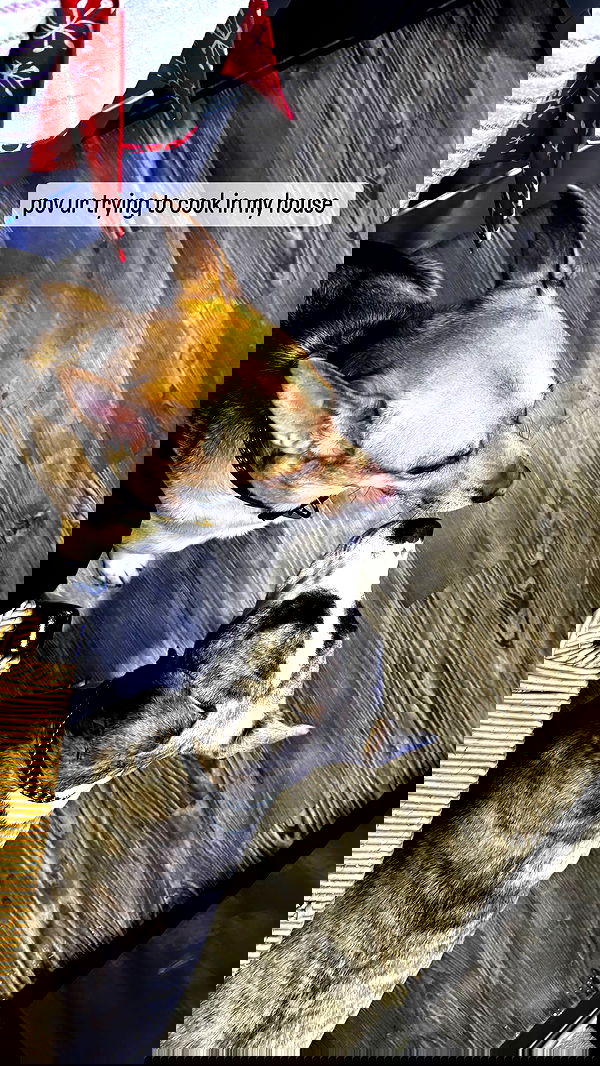 iamm3dusa image ~ Altpins