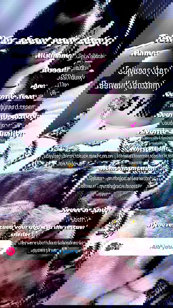 iamm3dusa image ~ Altpins