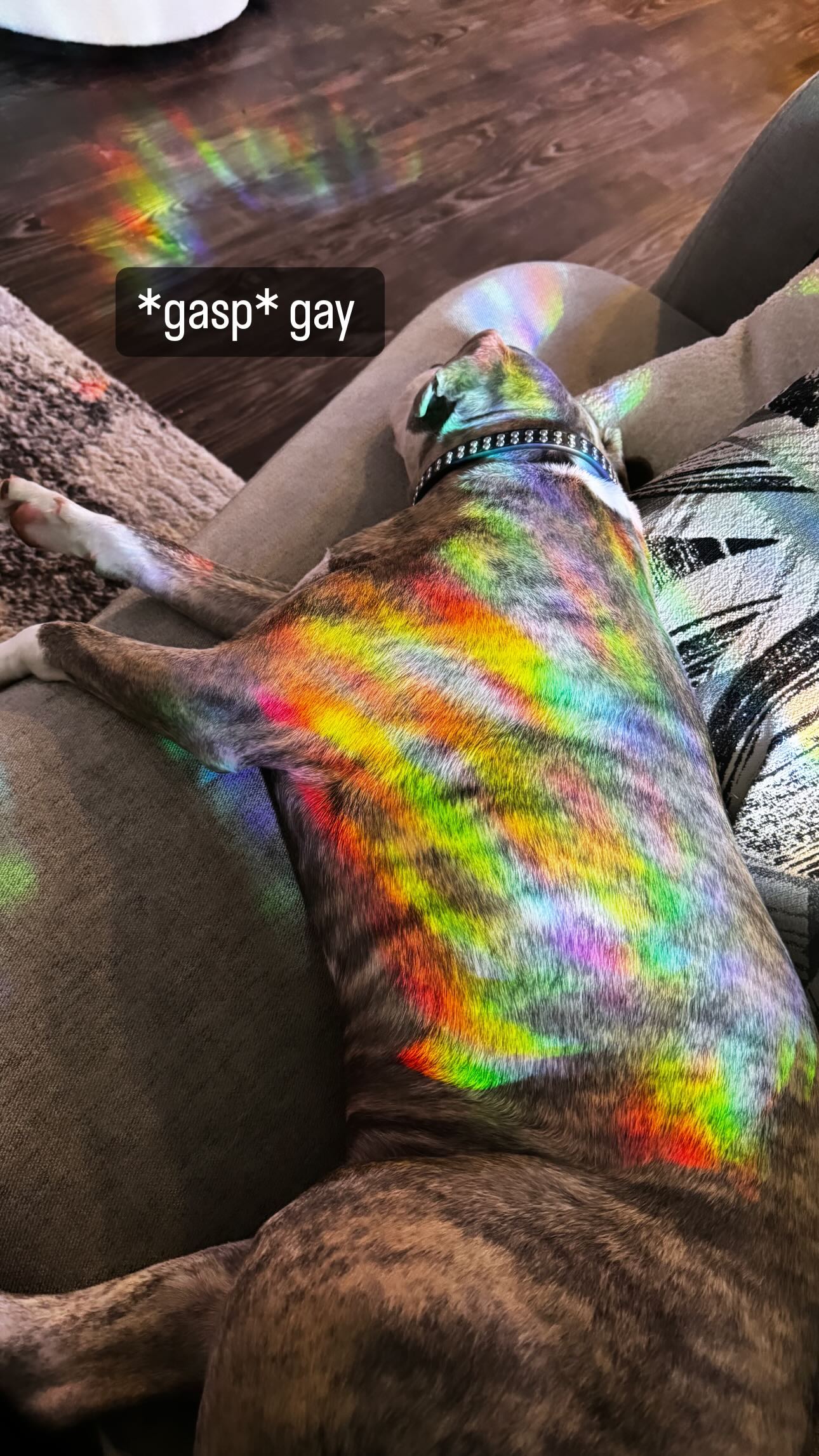 iamm3dusa instagram image archive image