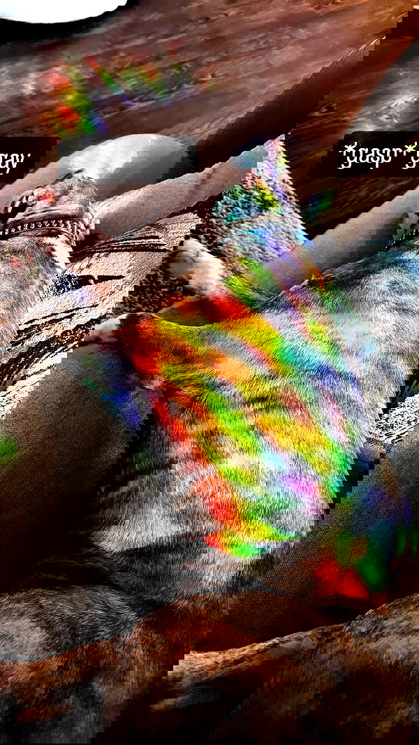 iamm3dusa image ~ Altpins