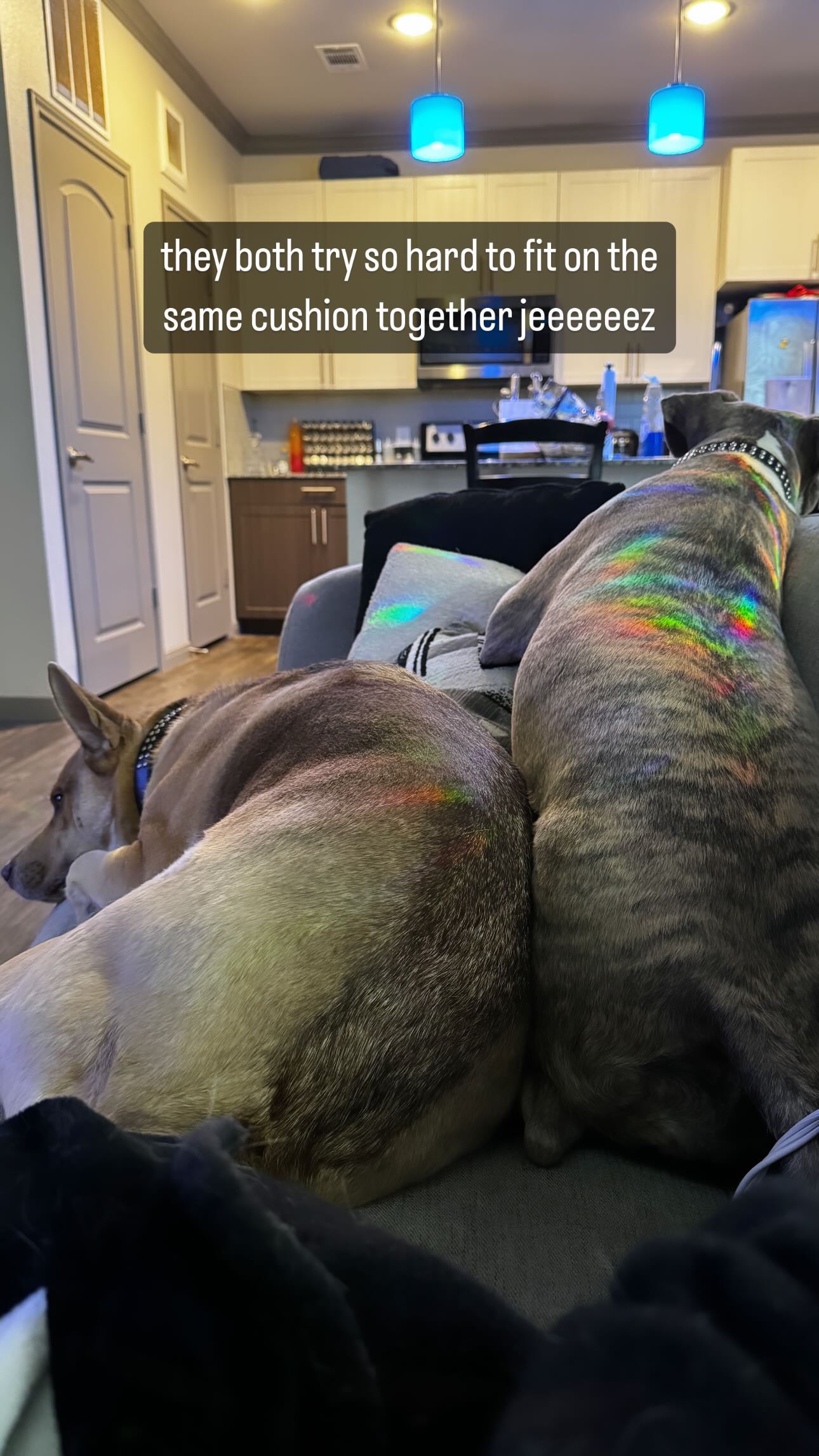 iamm3dusa instagram image archive image