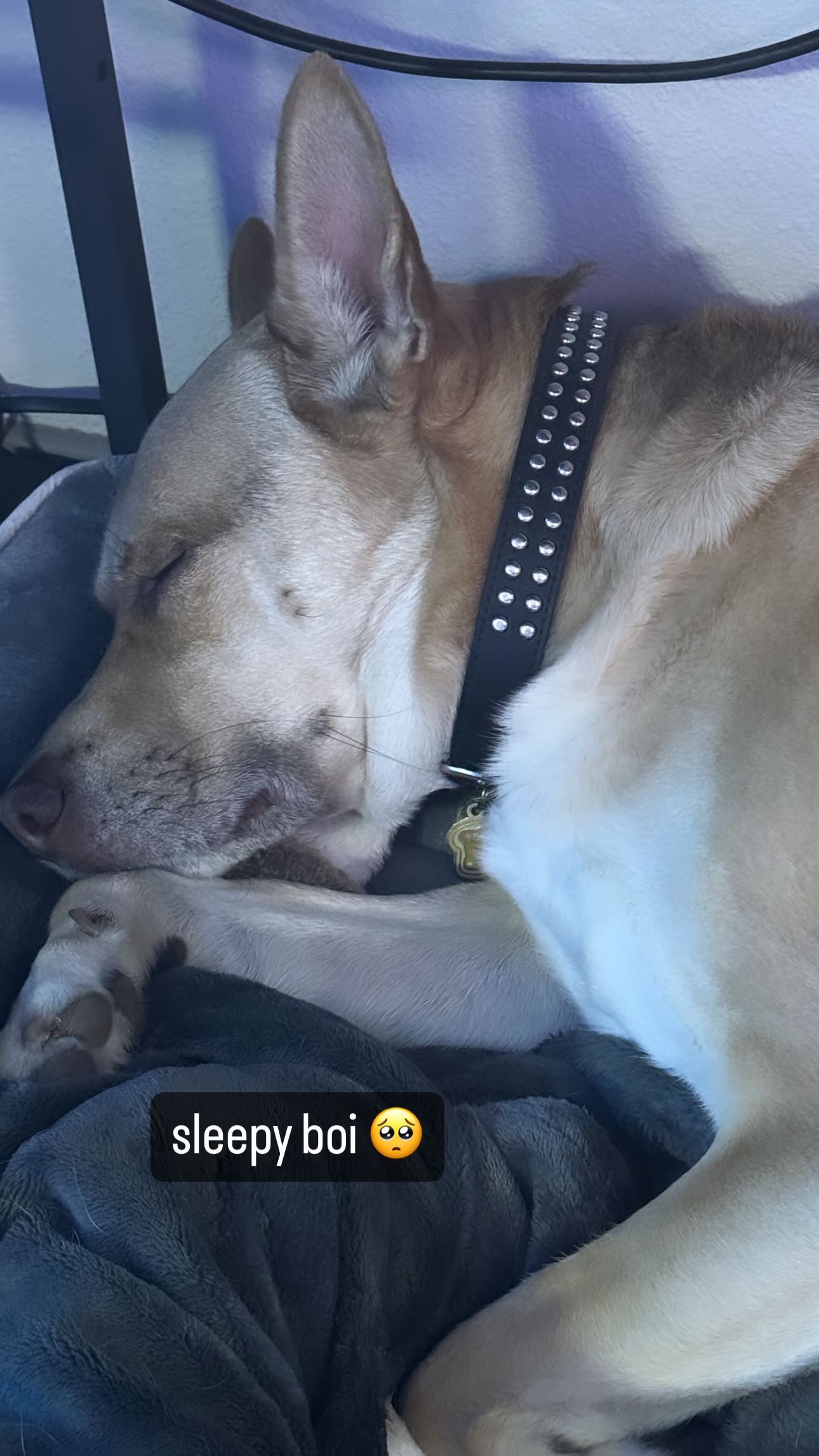 iamm3dusa instagram image archive image