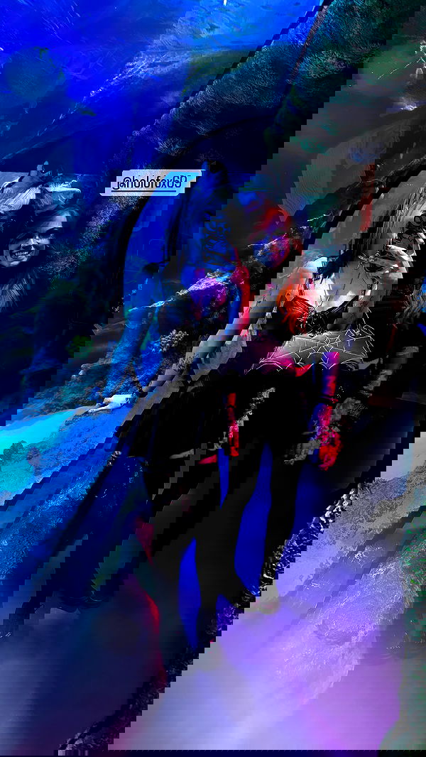 iamm3dusa image ~ Altpins