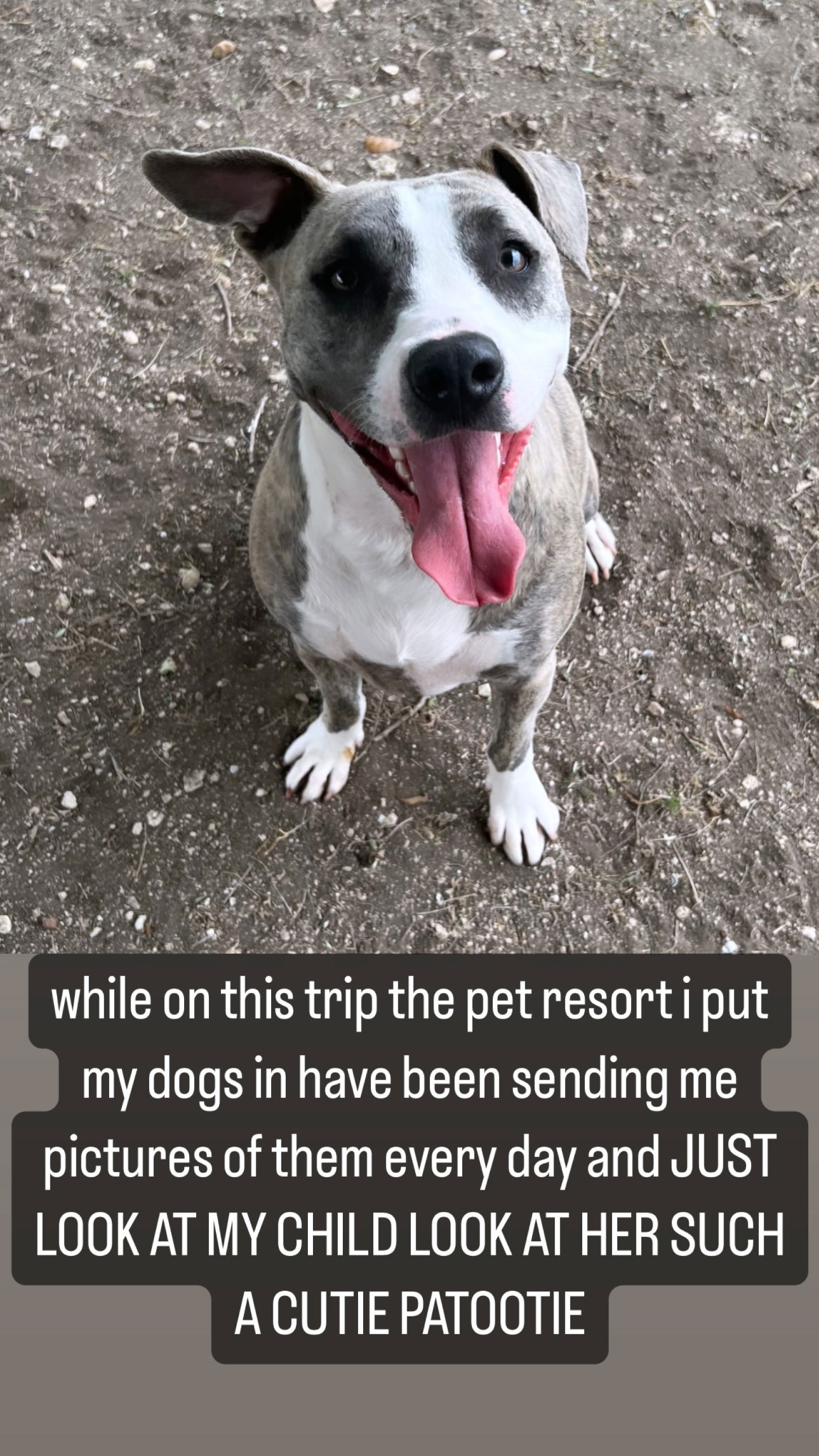 iamm3dusa instagram image archive image