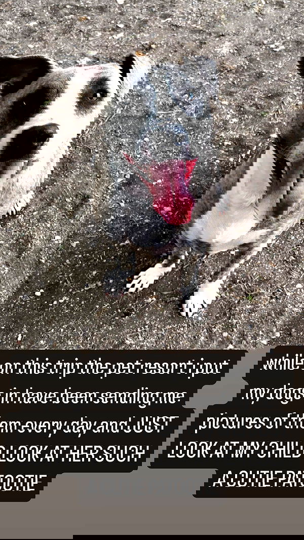 iamm3dusa image ~ Altpins