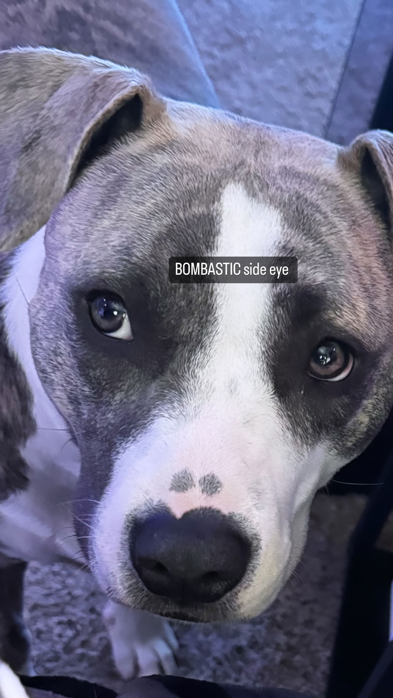 iamm3dusa instagram image archive image