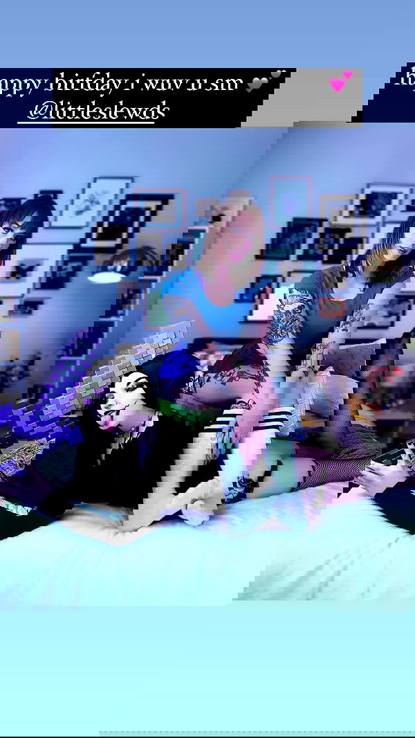 iamm3dusa image ~ Altpins