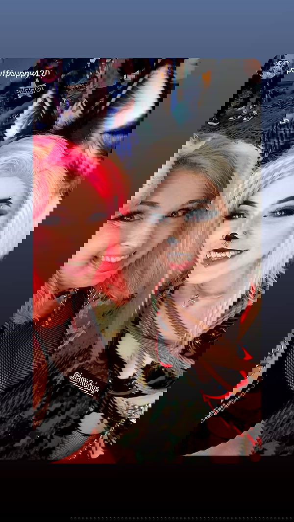 iamm3dusa image ~ Altpins