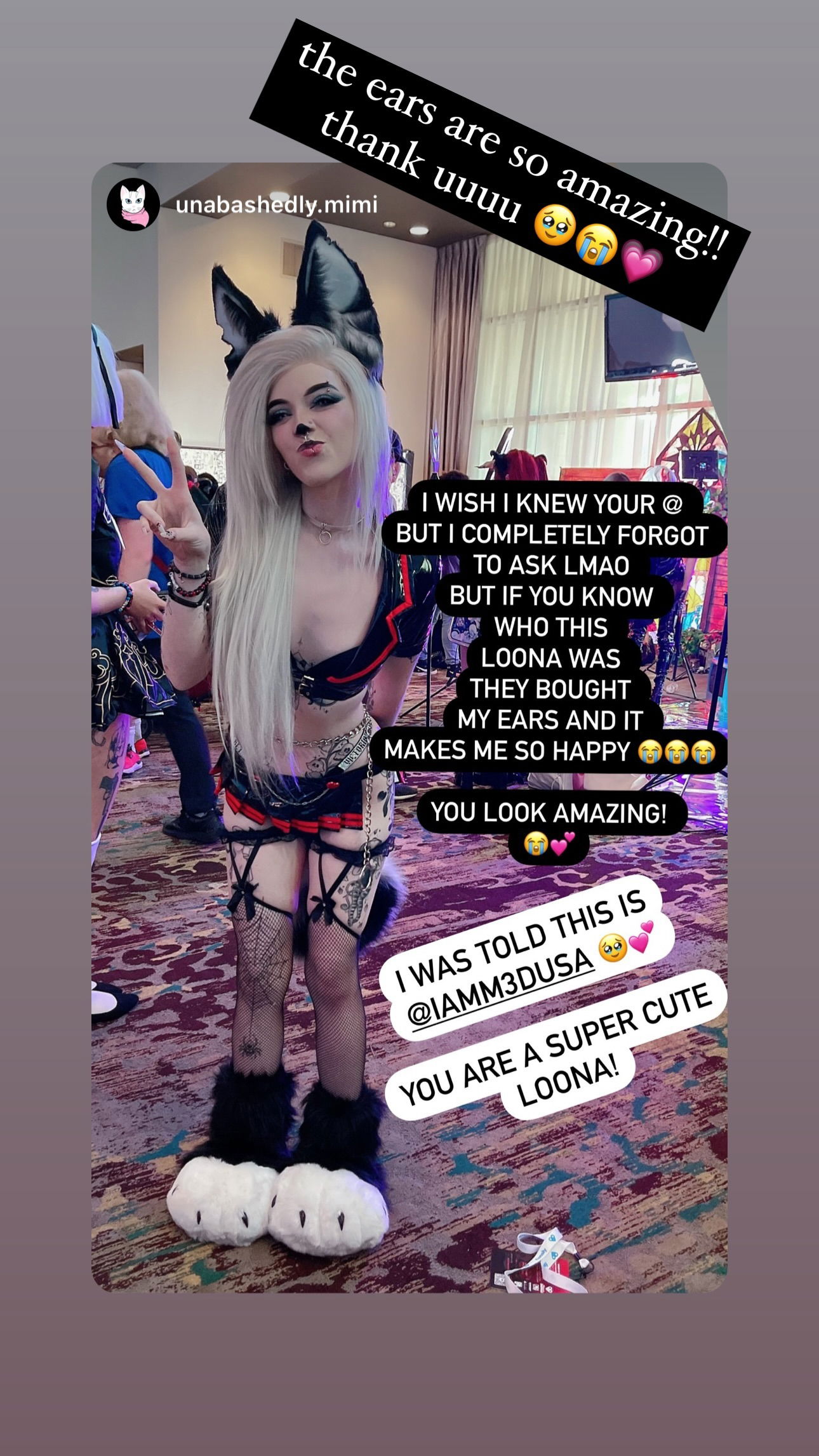 iamm3dusa instagram image archive image