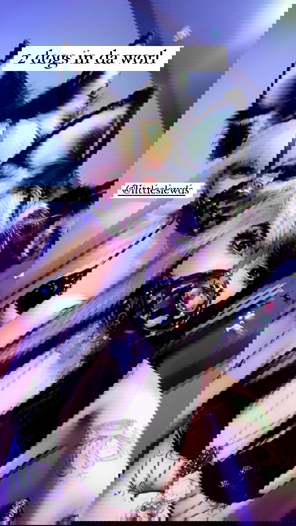 iamm3dusa image ~ Altpins