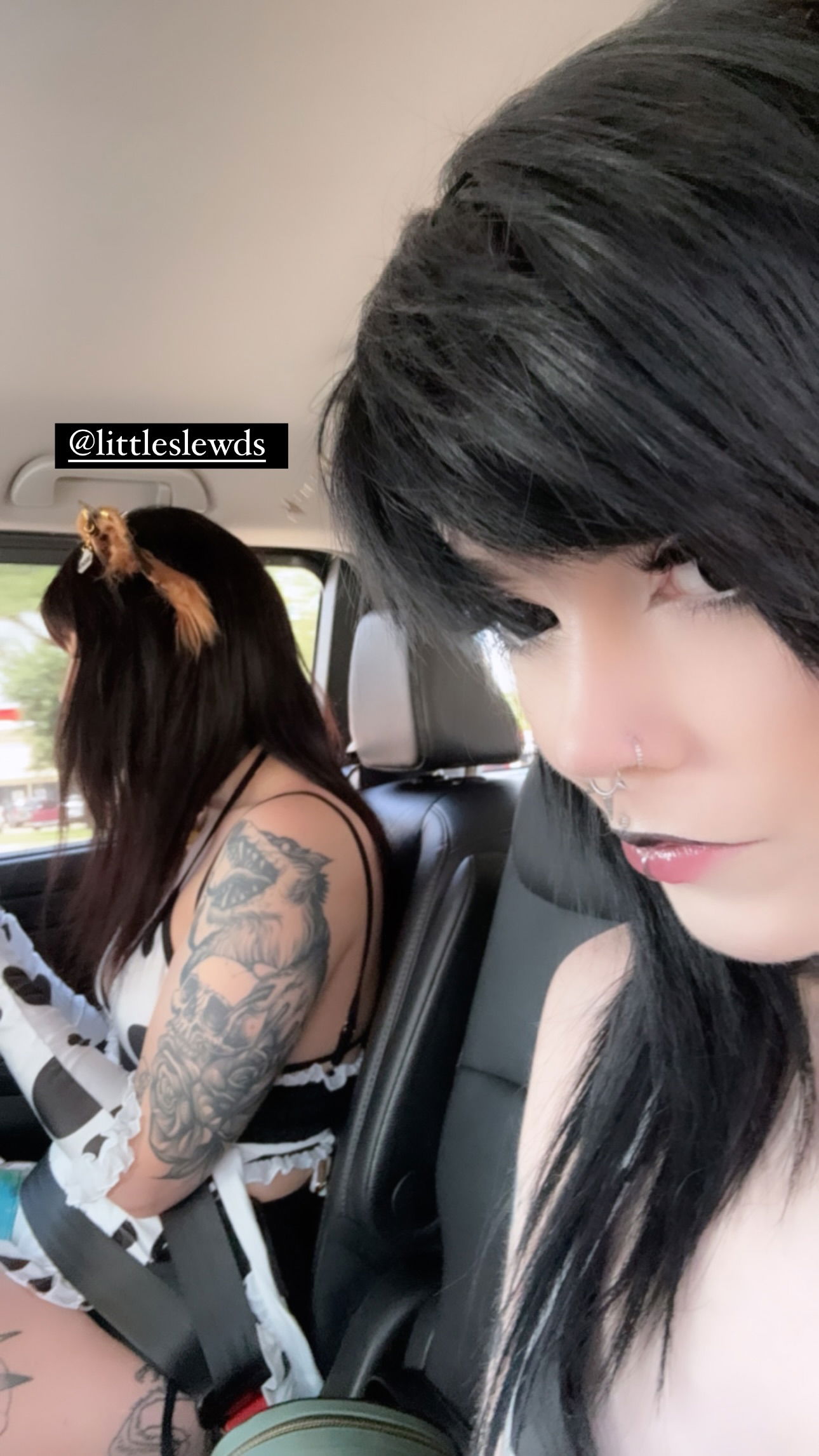 iamm3dusa instagram image archive image