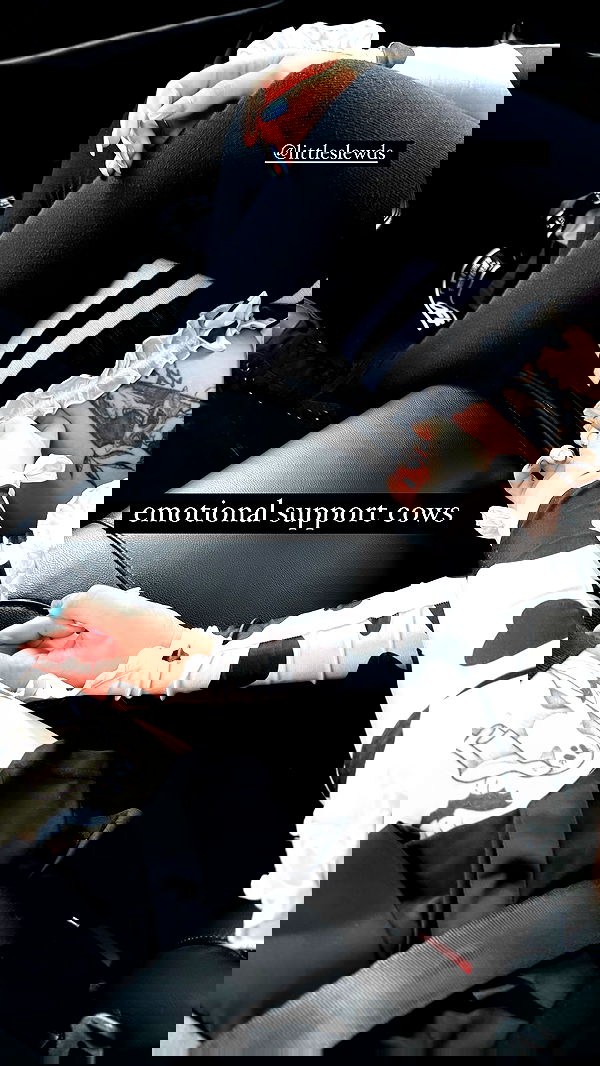 iamm3dusa image ~ Altpins