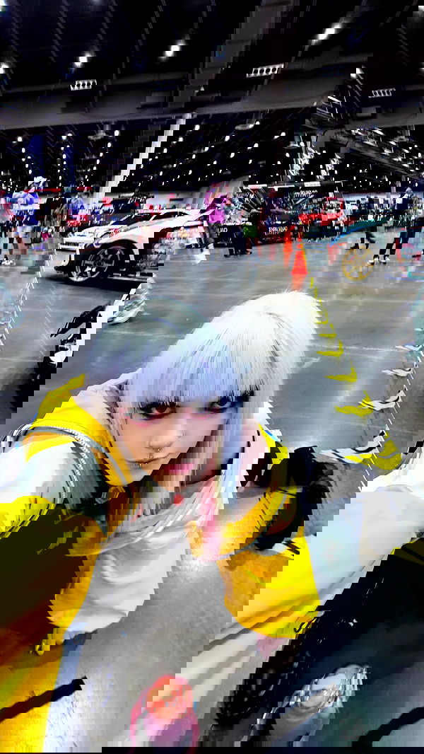 iamm3dusa image ~ Altpins