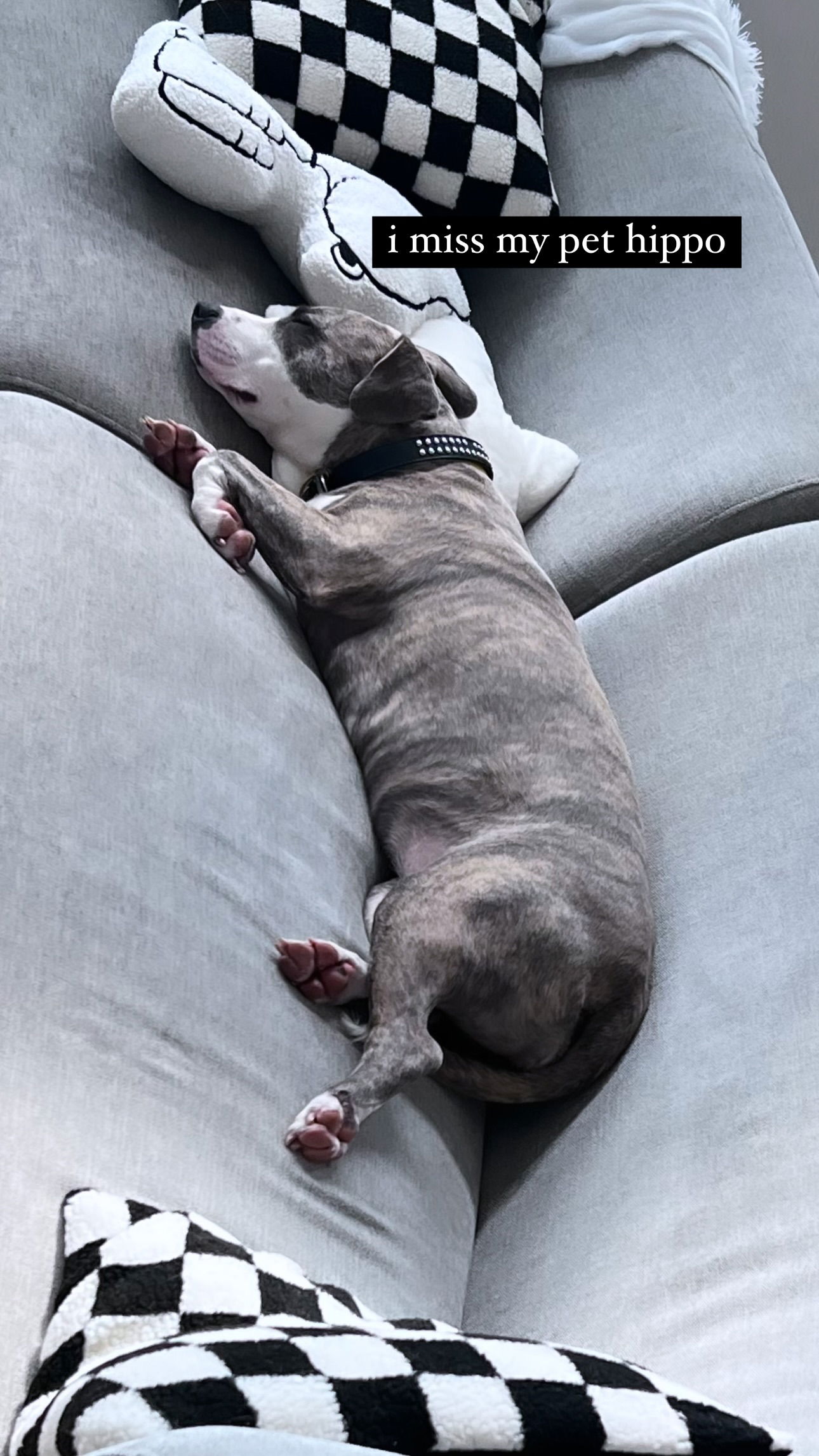 iamm3dusa instagram image archive image