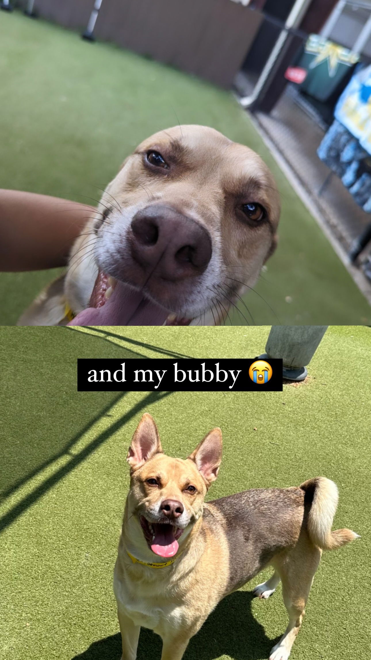 iamm3dusa instagram image archive image