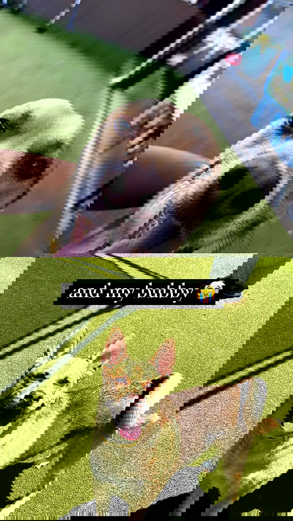 iamm3dusa image ~ Altpins