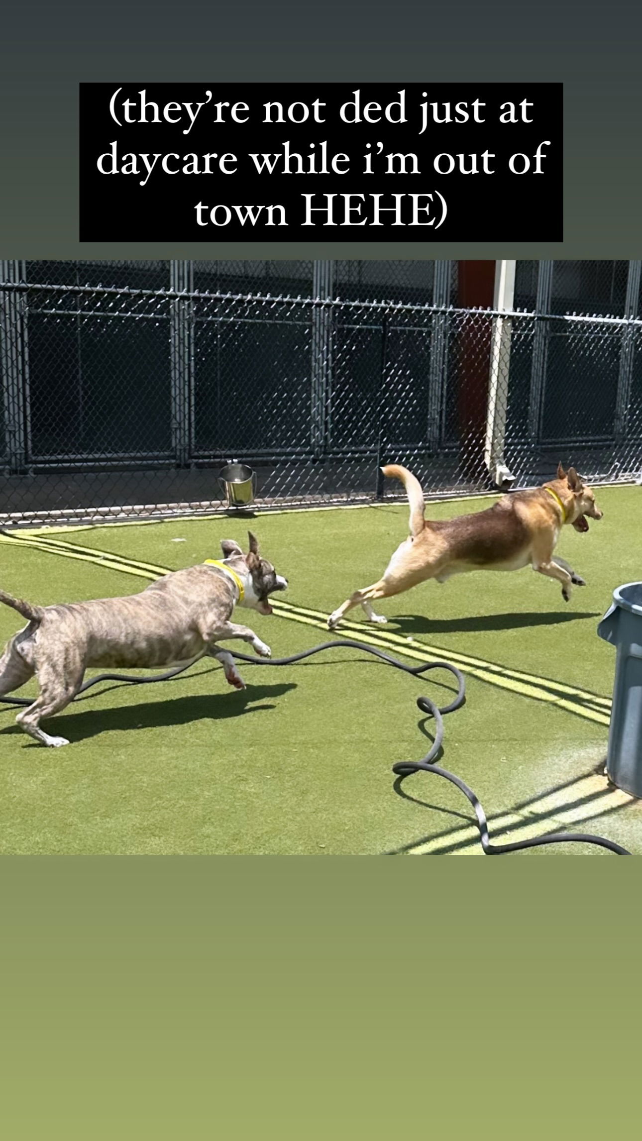 iamm3dusa instagram image archive image