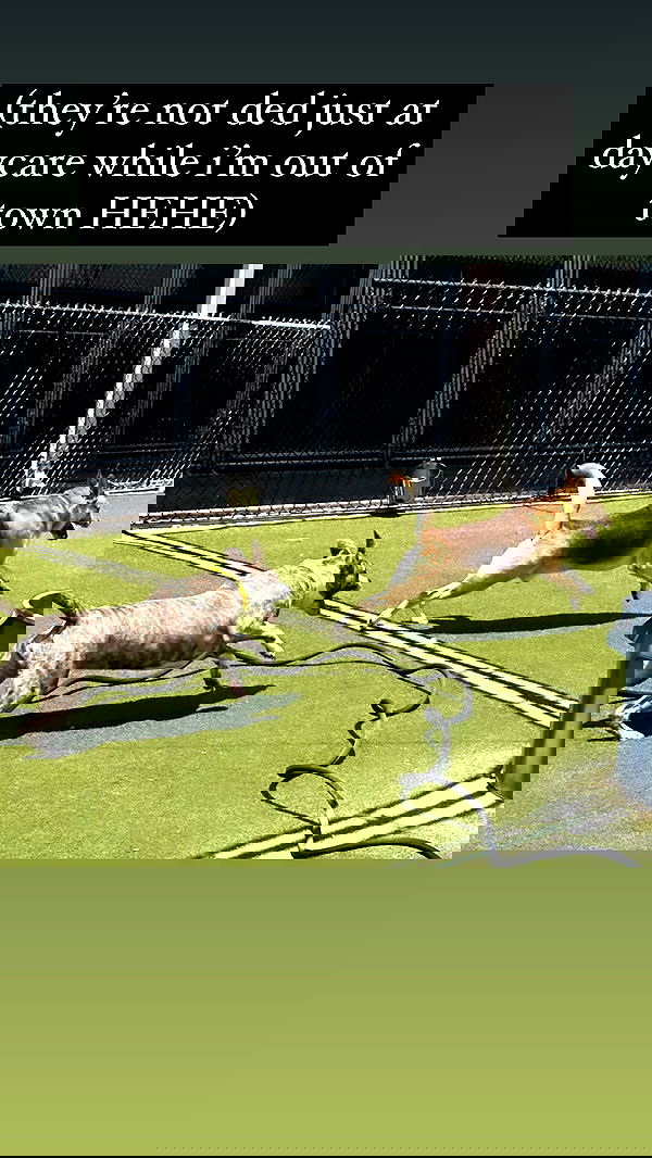 iamm3dusa image ~ Altpins