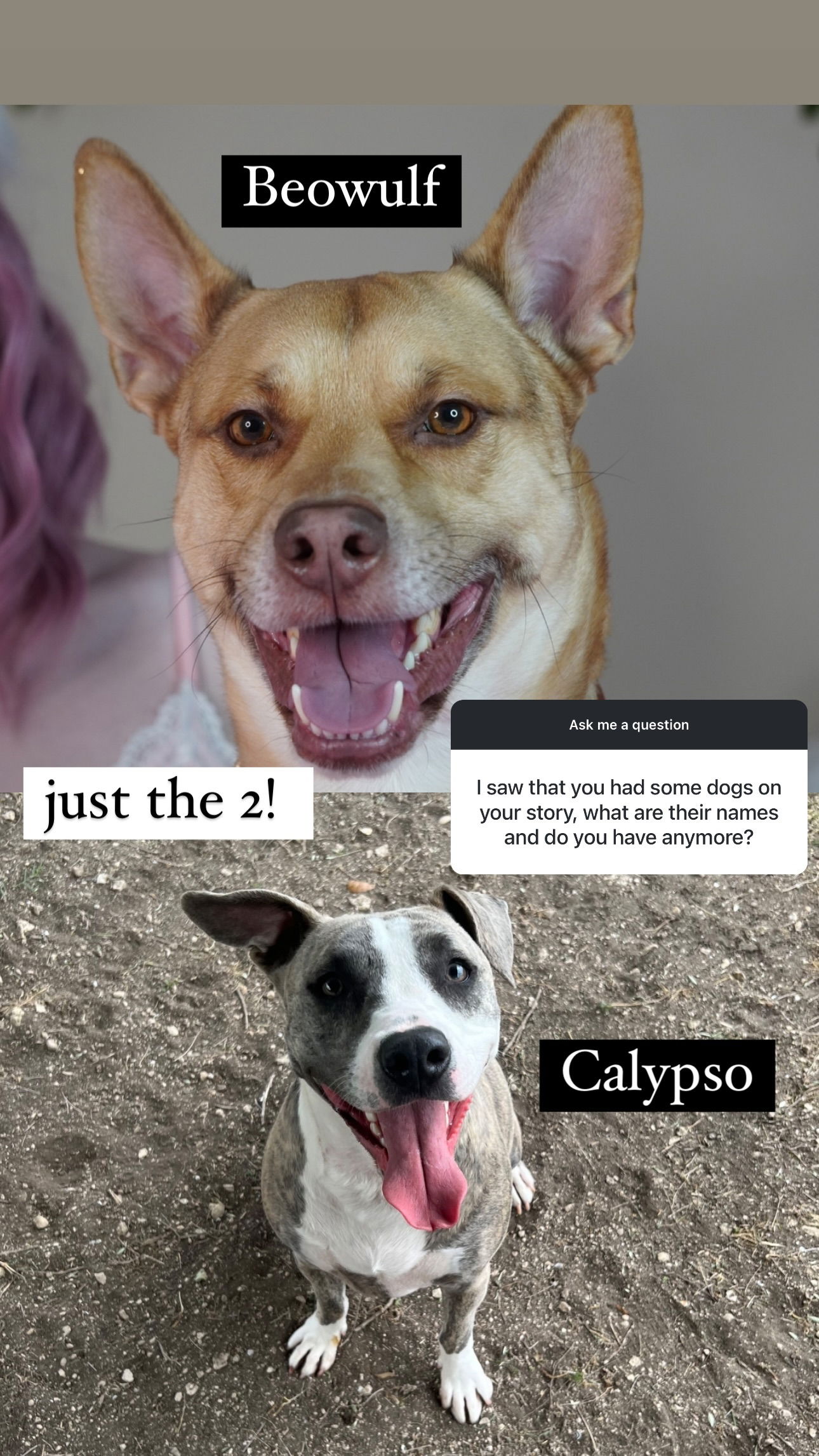 iamm3dusa instagram image archive image