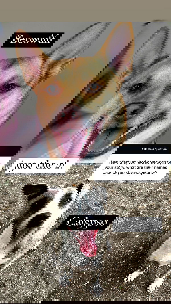 iamm3dusa image ~ Altpins