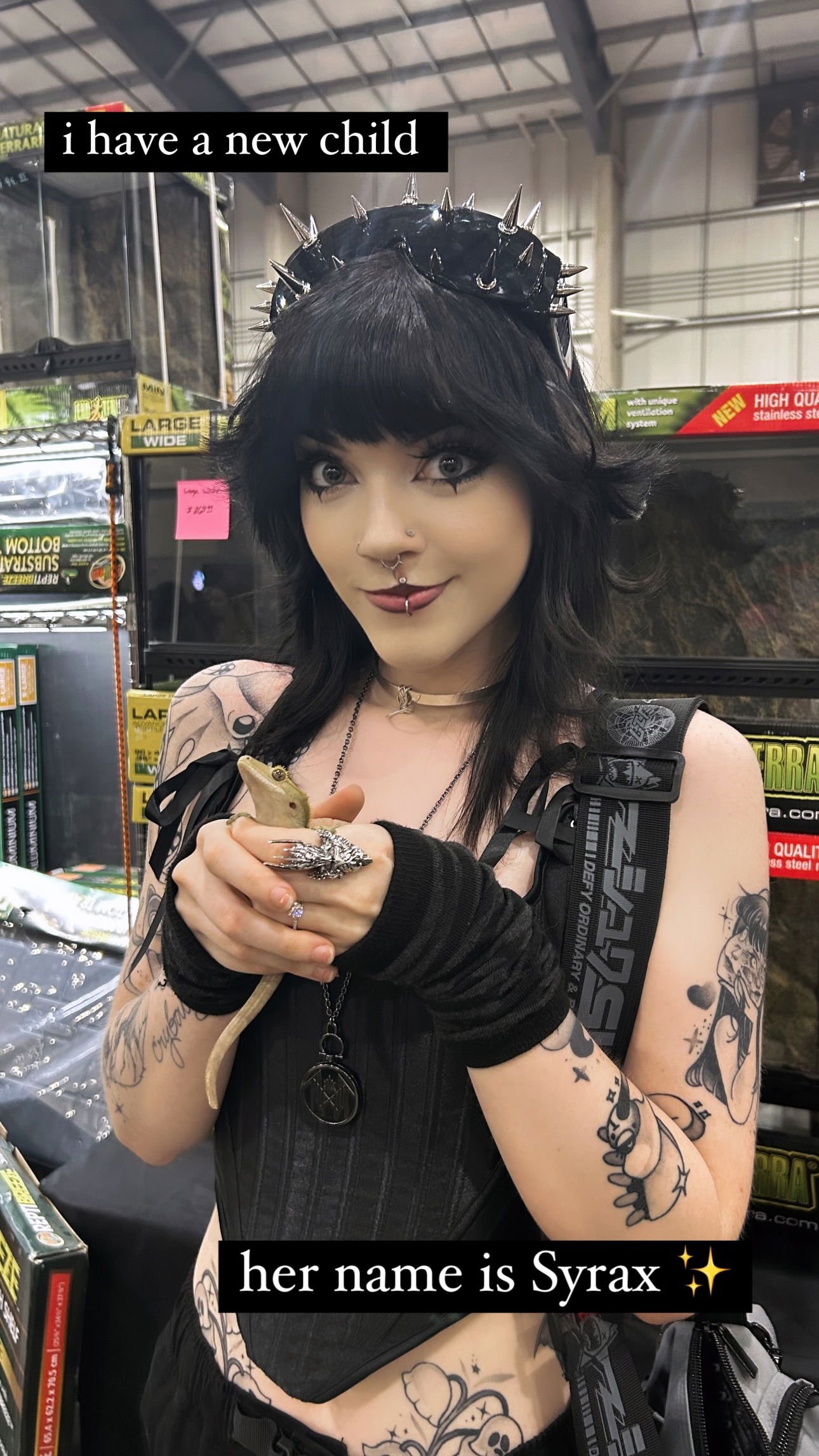 iamm3dusa instagram image archive image