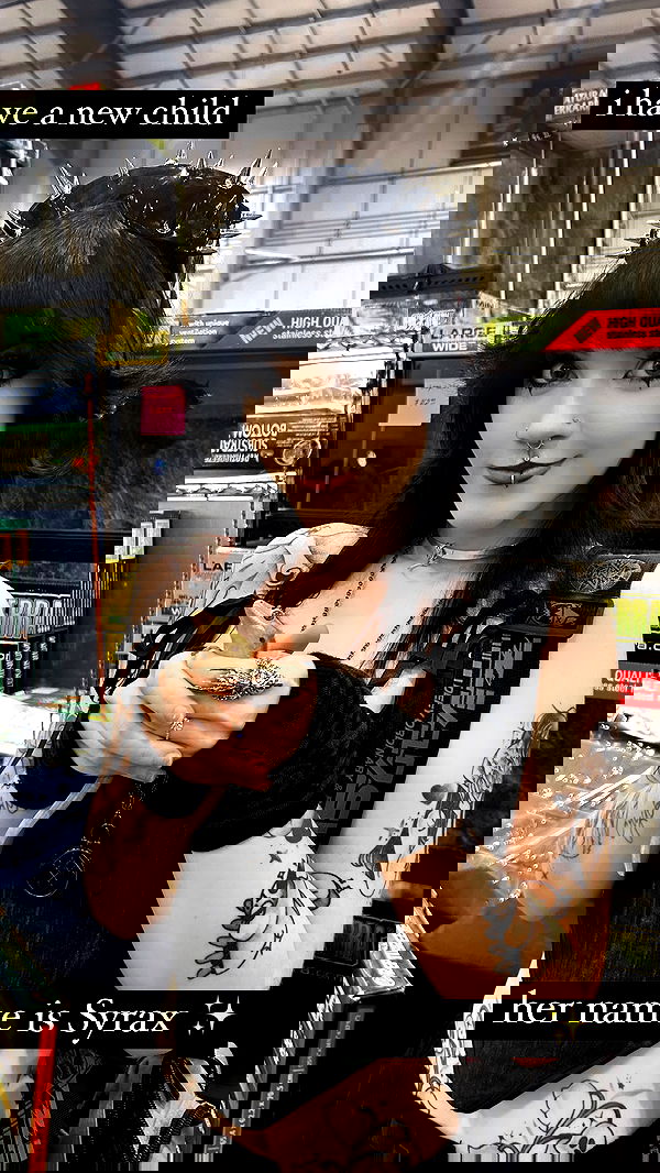 iamm3dusa image ~ Altpins