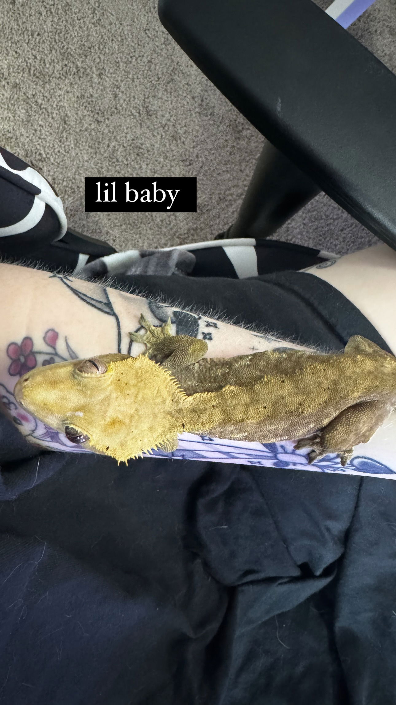 iamm3dusa instagram image archive image