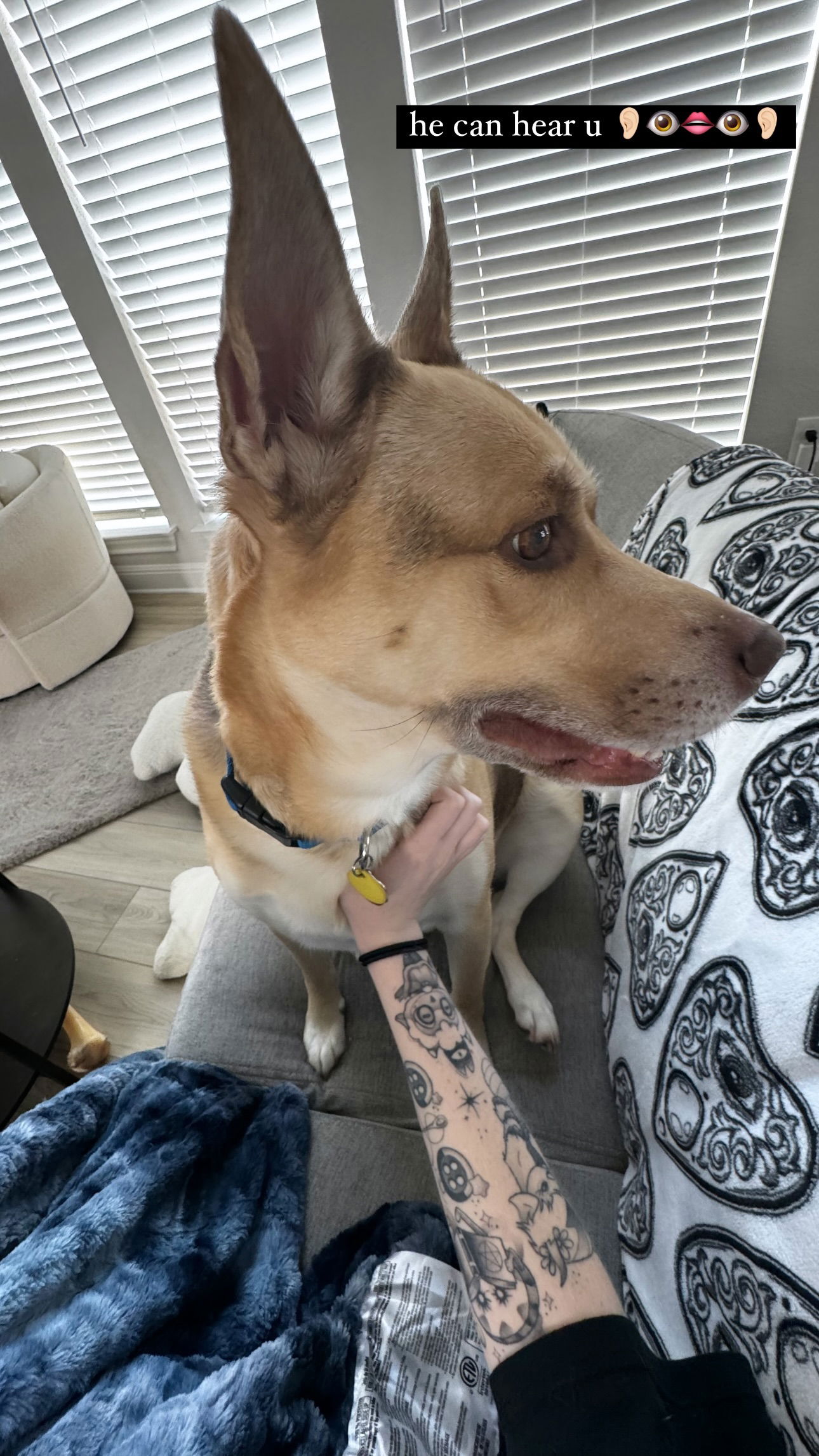 iamm3dusa instagram image archive image