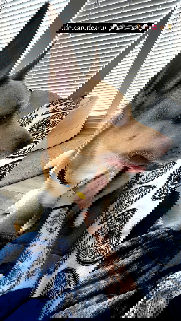 iamm3dusa image ~ Altpins