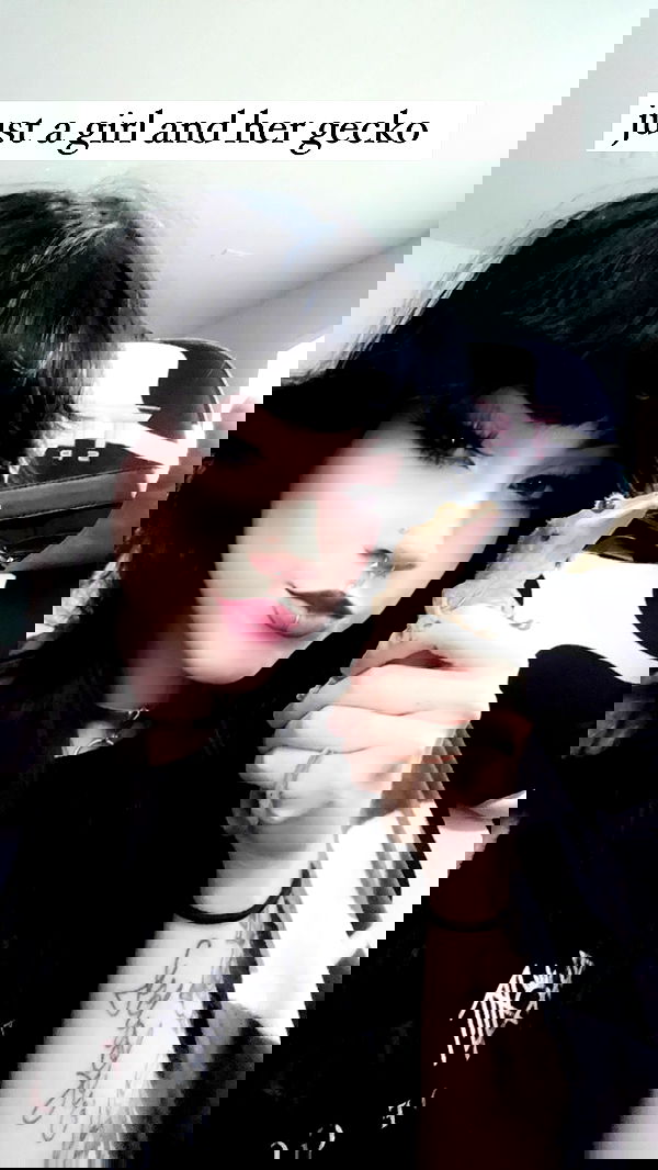 iamm3dusa image ~ Altpins