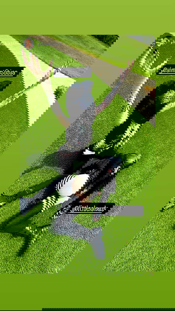 iamm3dusa image ~ Altpins