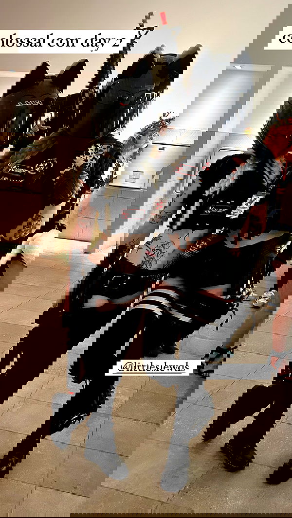 iamm3dusa image ~ Altpins