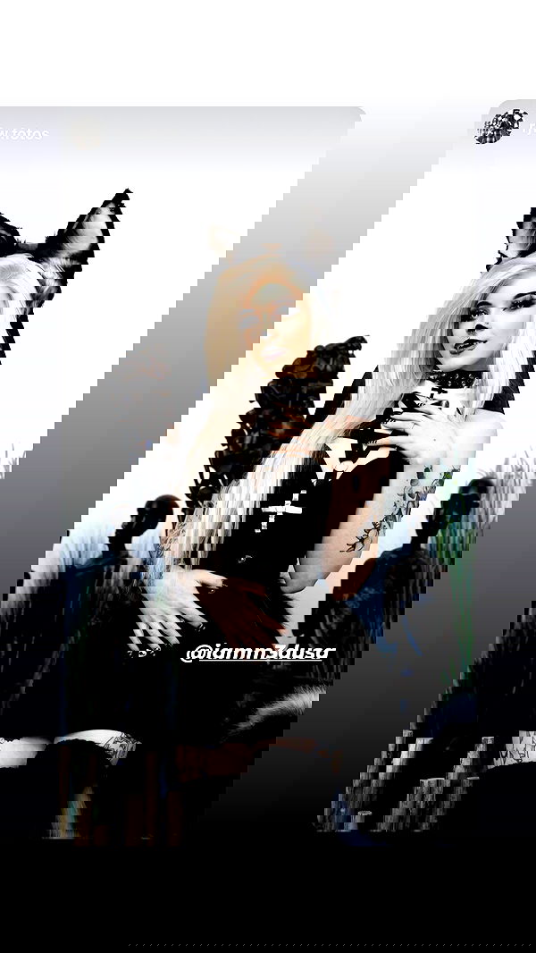 iamm3dusa image ~ Altpins