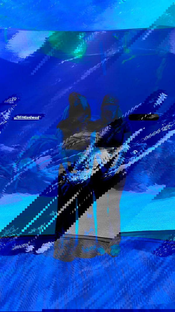 iamm3dusa image ~ Altpins