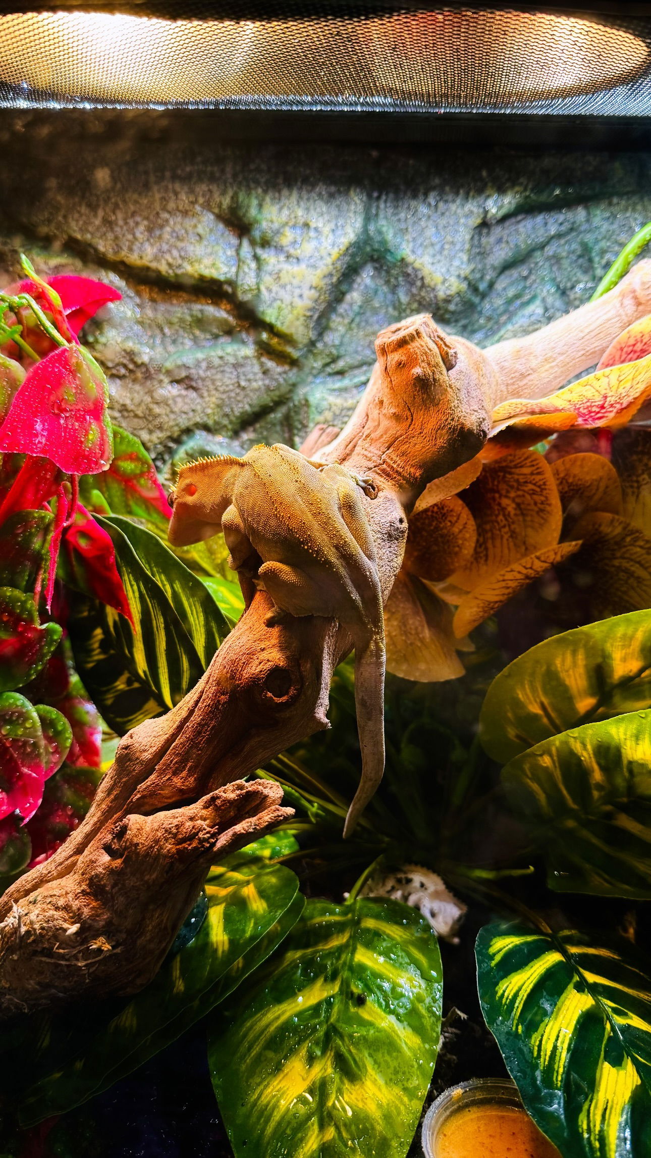 iamm3dusa instagram image archive image