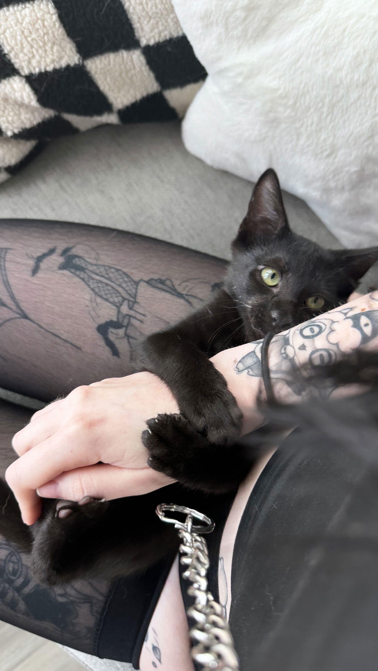 iamm3dusa instagram image archive image