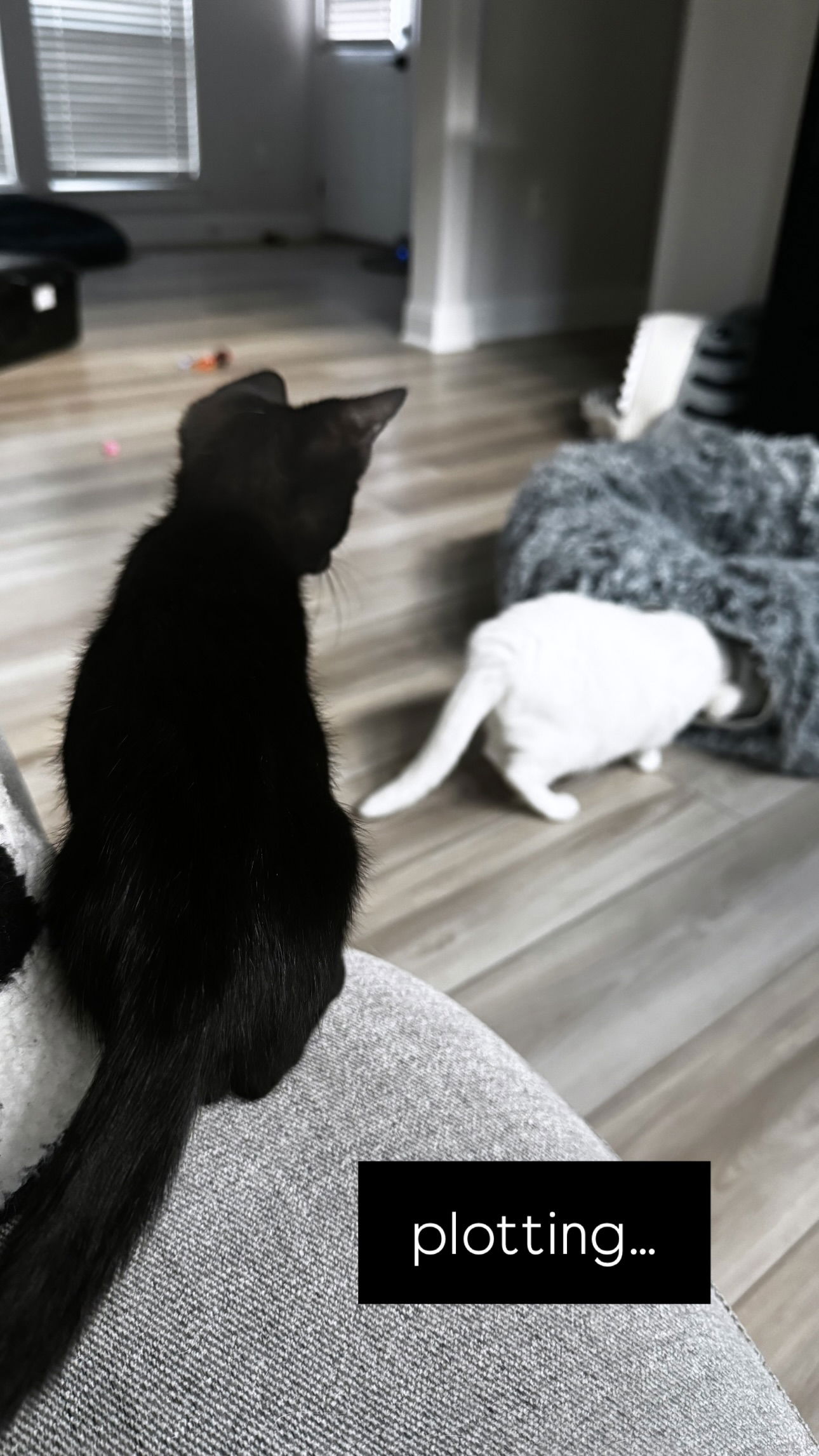 iamm3dusa instagram image archive image