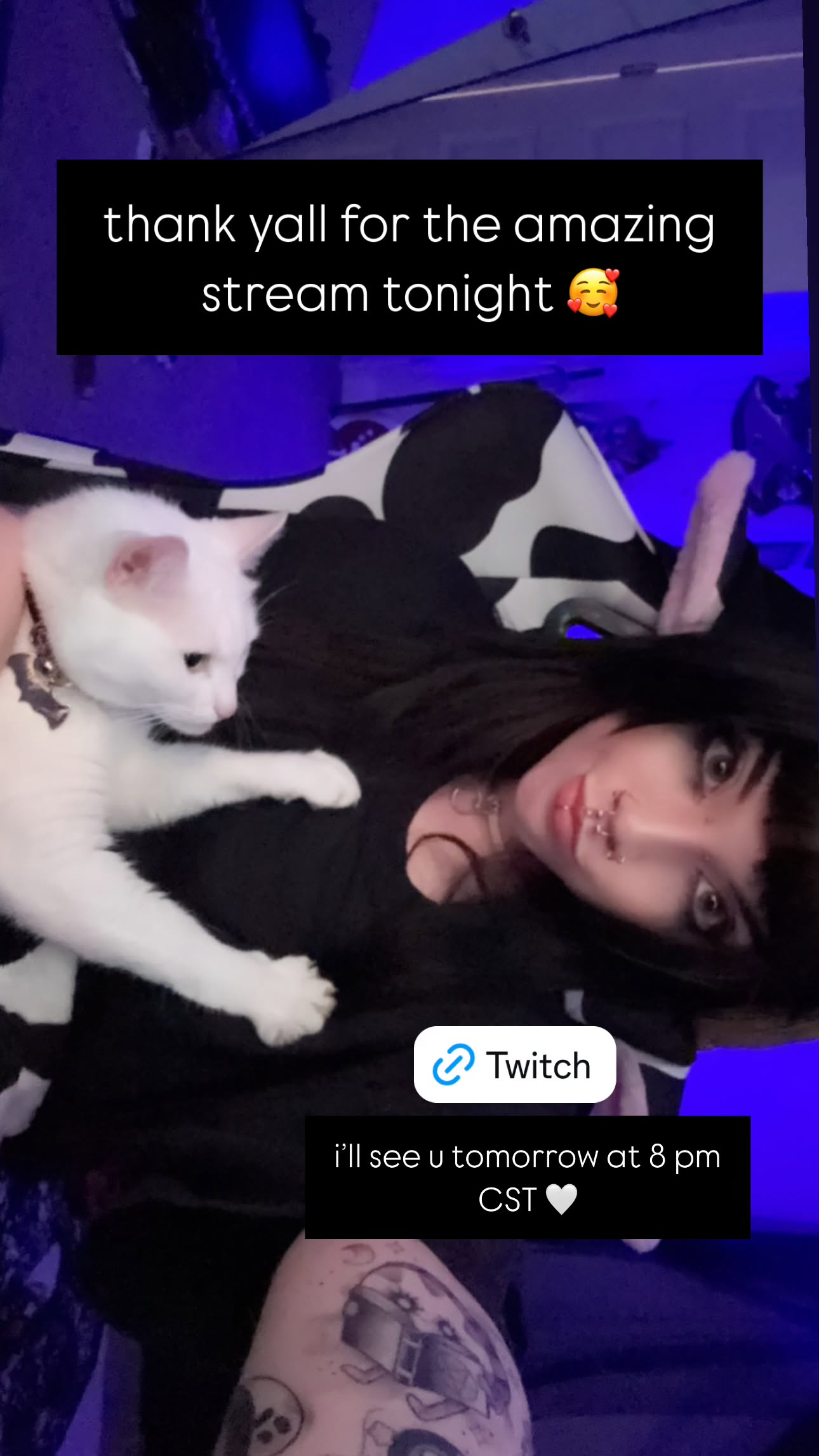 iamm3dusa instagram image archive image