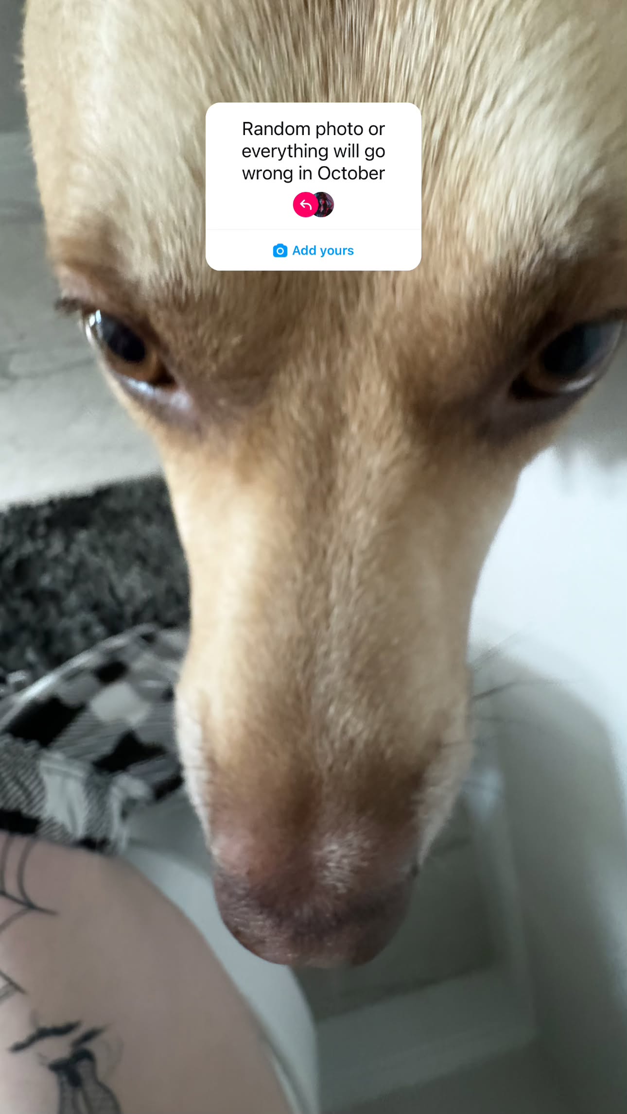 iamm3dusa instagram image archive image