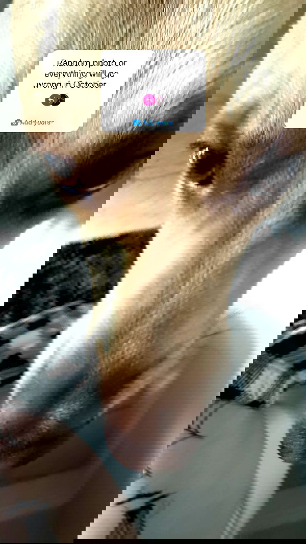 iamm3dusa image ~ Altpins