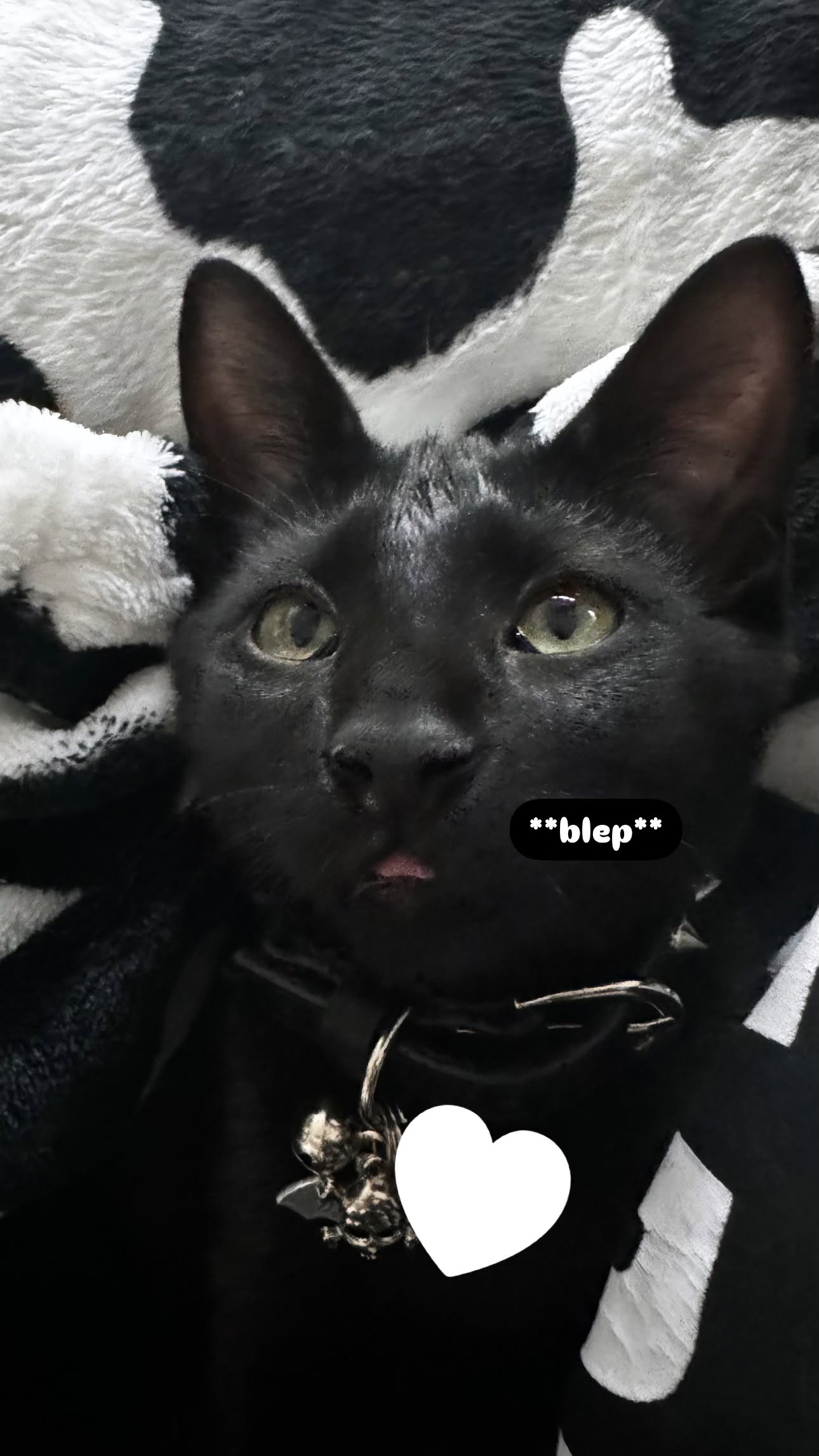 iamm3dusa instagram image archive image