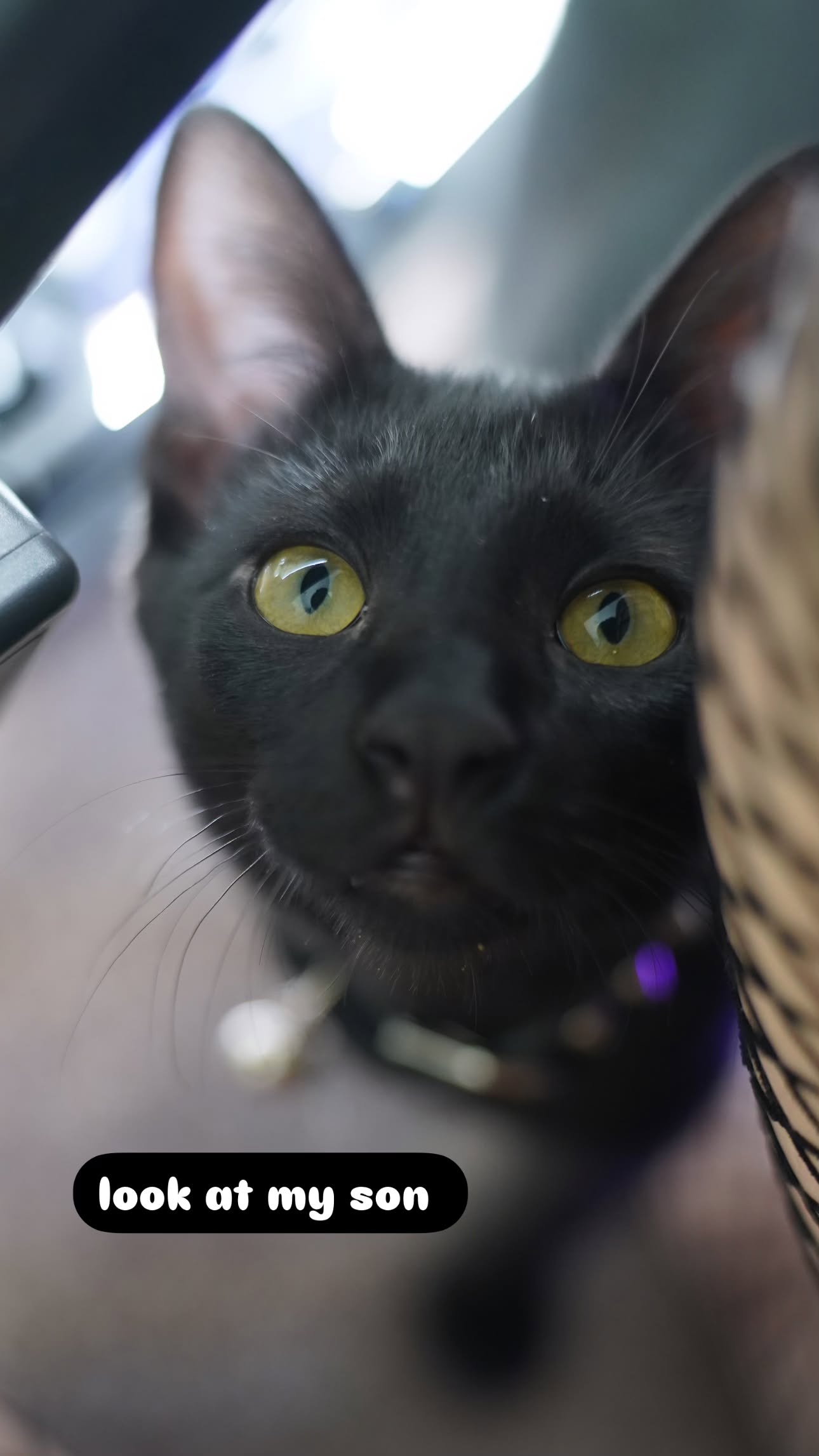 iamm3dusa instagram image archive image