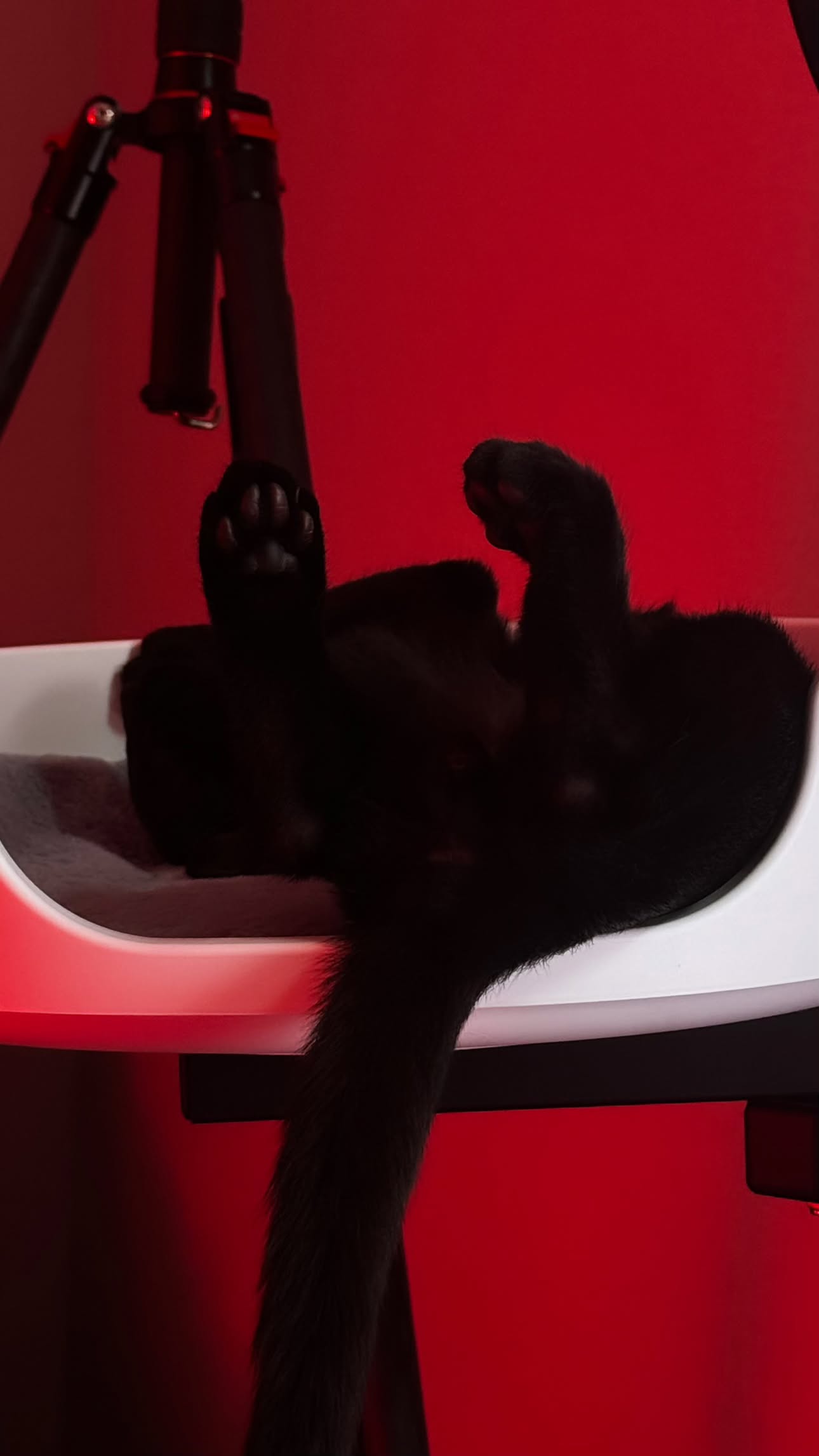 iamm3dusa instagram image archive image