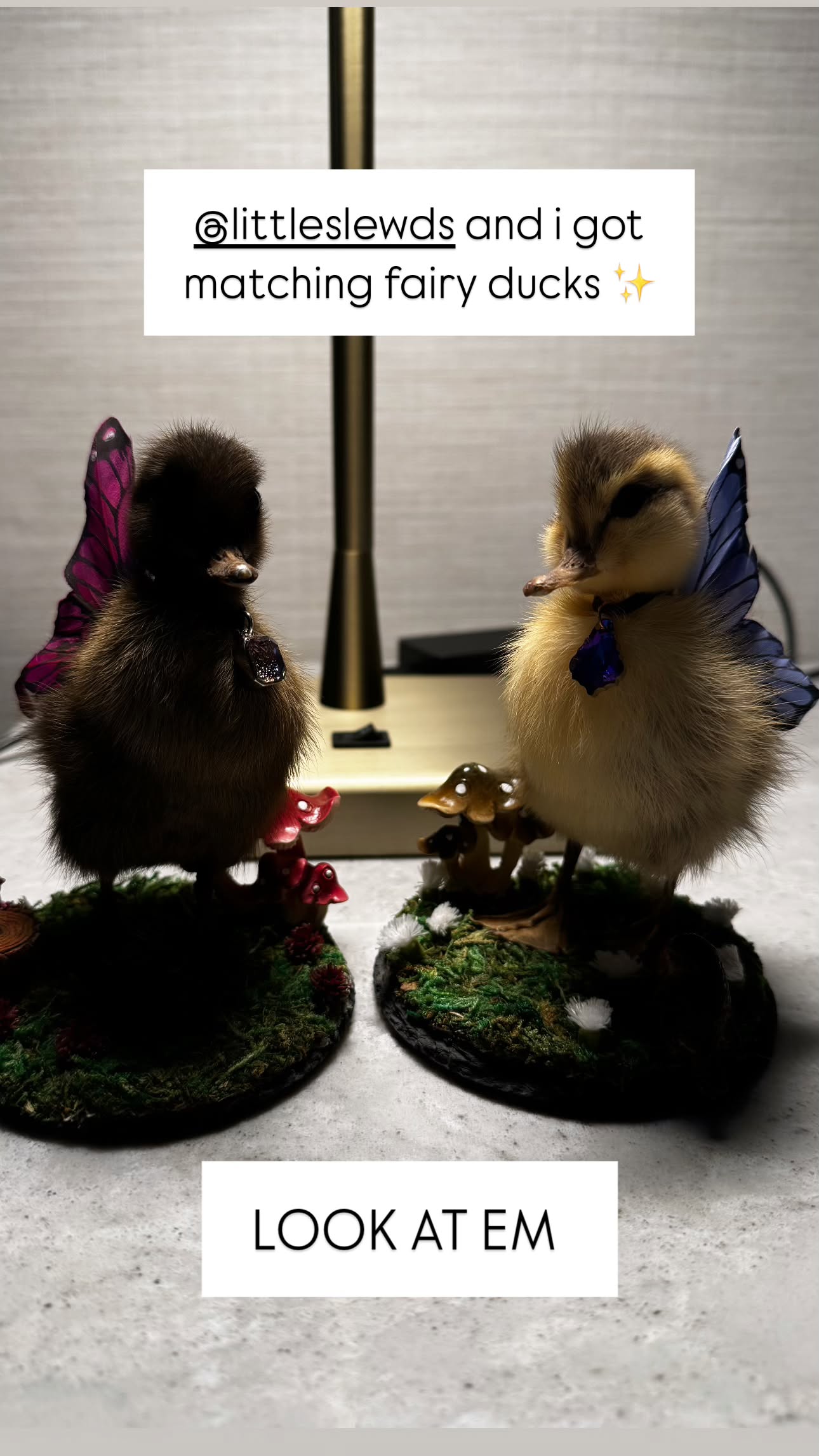 iamm3dusa instagram image archive image